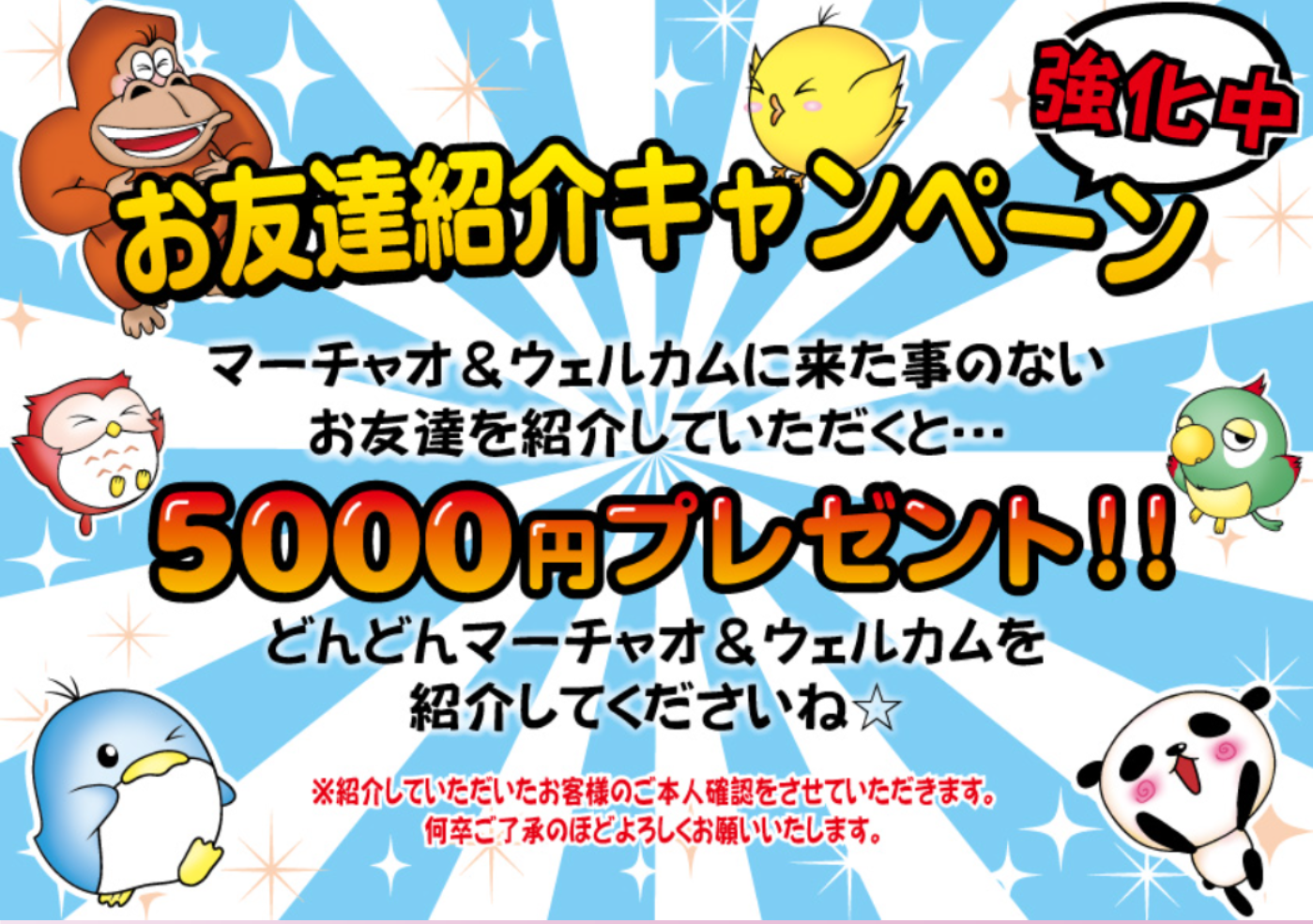 キャンペーン情報1