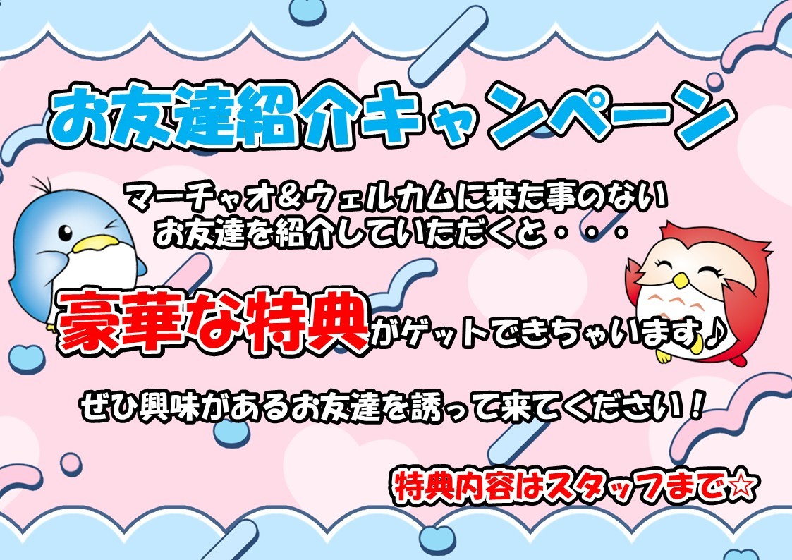キャンペーン情報4