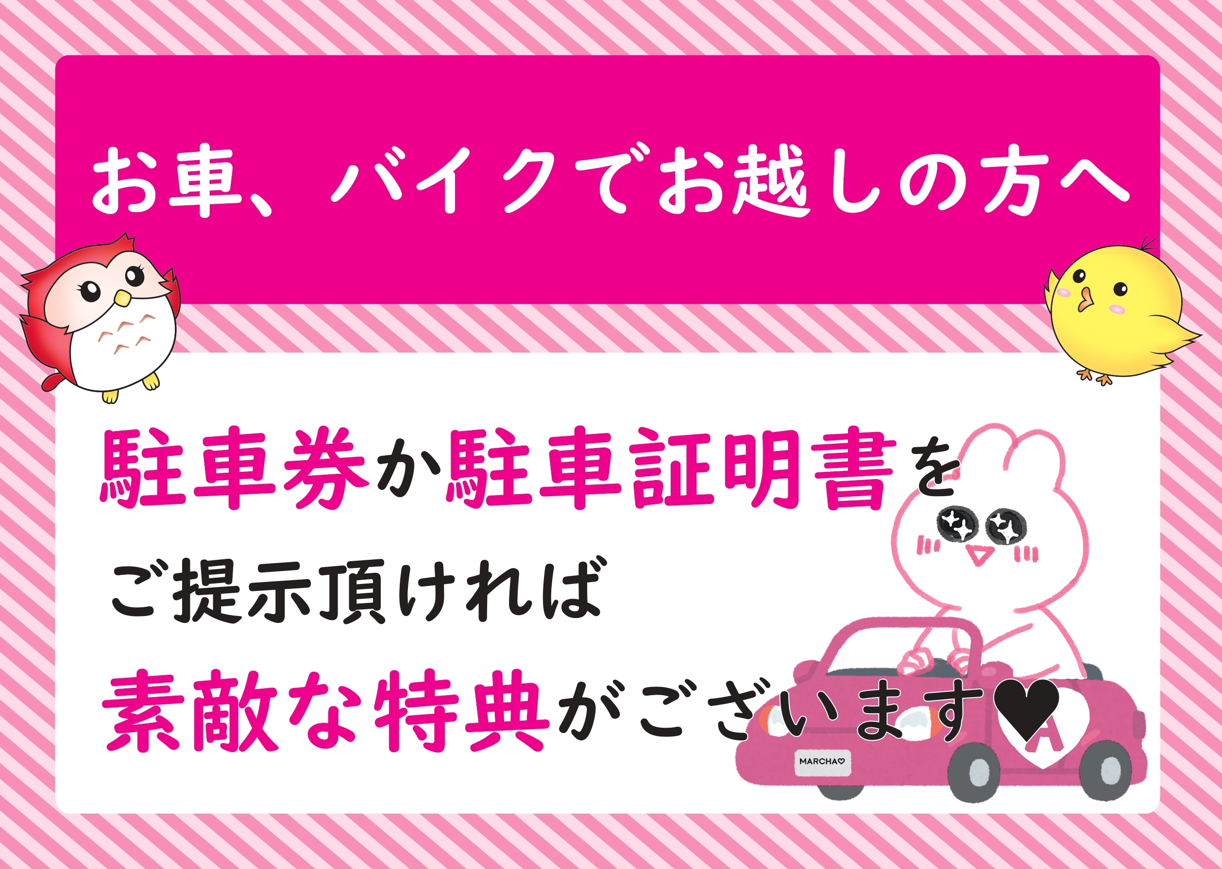 キャンペーン情報2