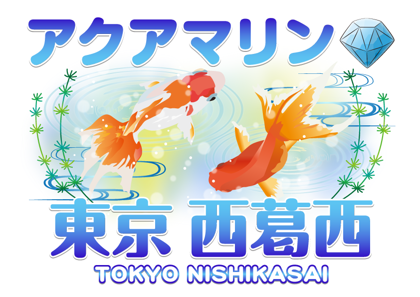 マーチャオアクアマリン西葛西