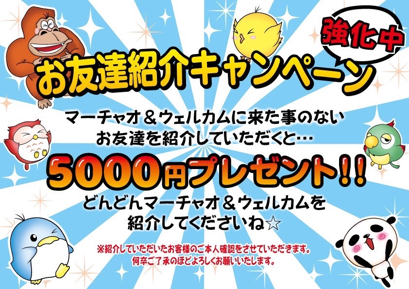 キャンペーン情報1