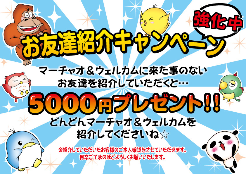 キャンペーン情報2